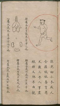 老祖宗传下来的童子命到底是啥玩意儿？