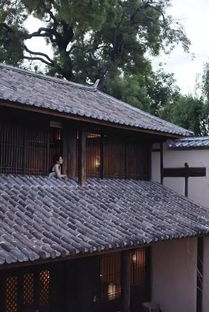 孩子们的天堂：玩泥巴、 追鸡、放风筝