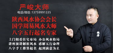 实际案例分析（噪声版）