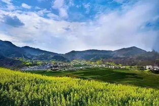 石泉·踏春生态观光游， 朱鹮小村等你来