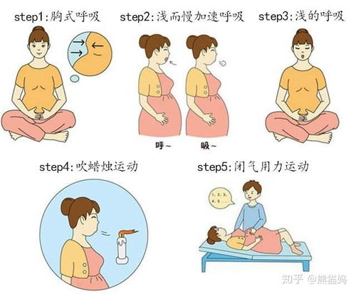 能怀孕吗？生育风险因素评估表