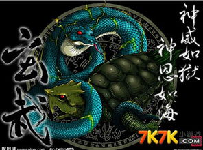 四大神兽中，哪个神兽的寿命最长，堪称长寿之最？