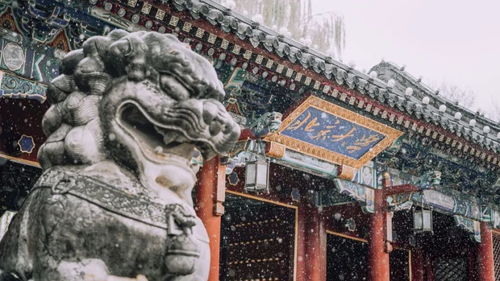 清华北大景点介绍：历史与现代的交融