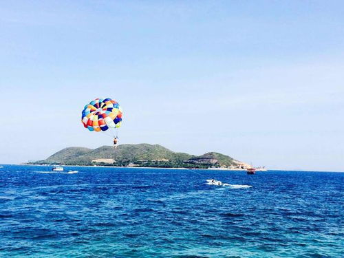 珍珠岛：人比鱼多的