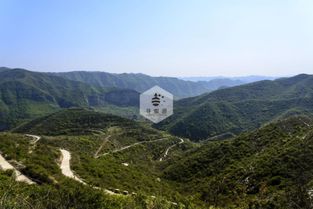 较深度探寻：那一些你有可能没注意到的细节