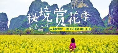 惯与“半价”的那些事儿