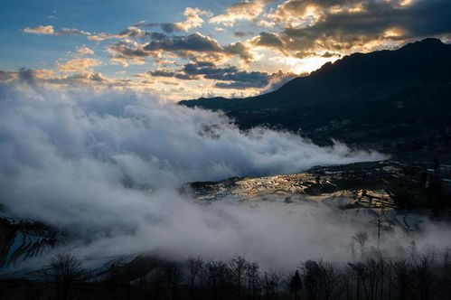 更多依树景区：云海与稻香的浪漫邂逅