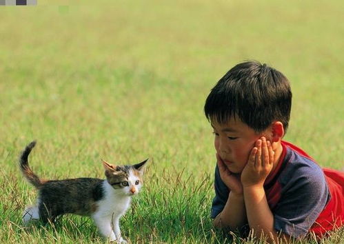 啊啊啊！室内环境简直太重要了