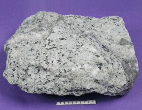 王舍人起名术：让宝宝的名字像糖一样甜蜜，像雷一样震撼