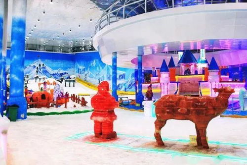 关岭永宁滑雪场：西南地区最较大的室内滑雪场