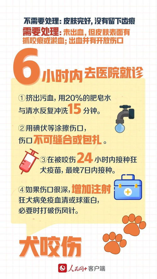 救命水：没它你活不过三天