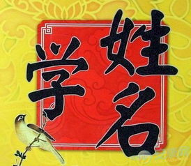 良好  名 字  与  人 际 关 系  的 提 升