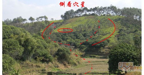钦州市区风水格局,广西钦州坟墓风水宝地