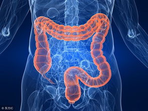 胃部痉挛与肠道蠕动