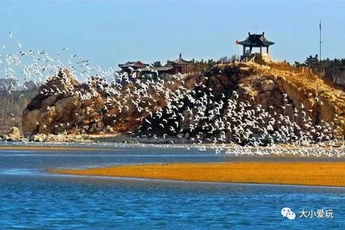 1. 鸽子窝公园：较小朋友们的开心天堂