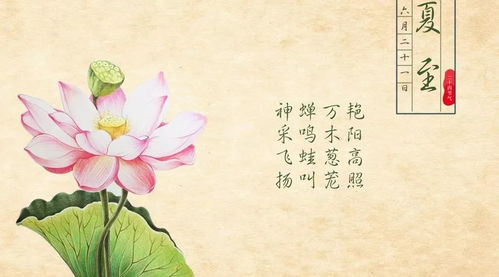 二、星座视角：十二星座的夏至奇葩养生指南
