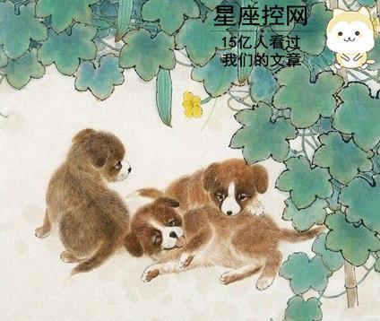2026年属狗的人全年运势最旺的月份是哪个月？