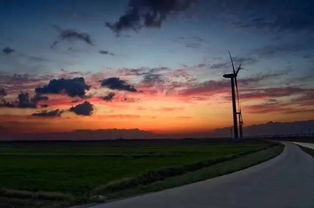 橘园里的海风鸡尾酒