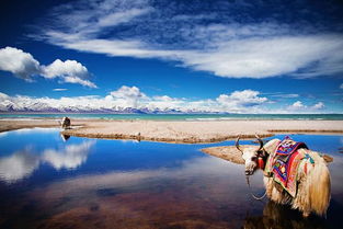 红河滩：一个被低估的旅游胜地