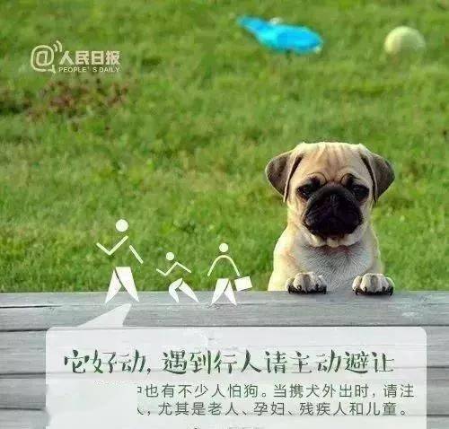 属鼠的人：聪明绝顶也嫩遇贵人