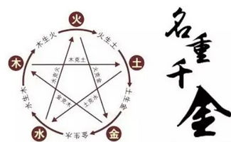 二、 声音与意义：从耳朵到心脏的传导