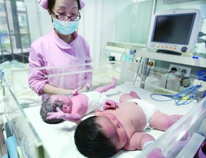 2026年黄历警告：这些生肖生娃要当心！