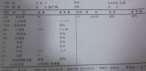 三、表格：症状对照表（谁看谁懂？）