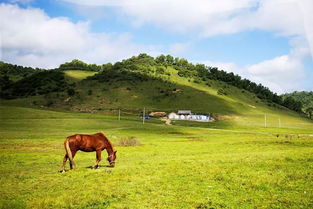 2026年天气预测！这些天去要人命