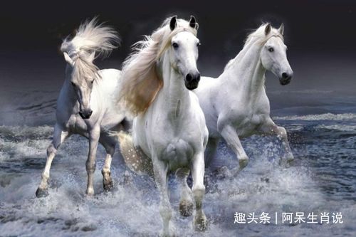 天啦噜！属马人的命运什么时候会突然转弯？