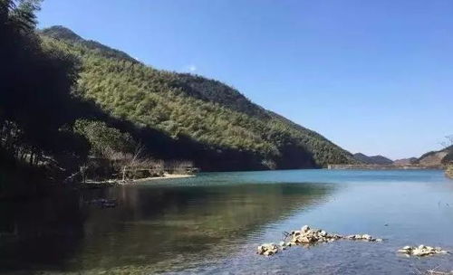 二、双翼战略：乘风破浪