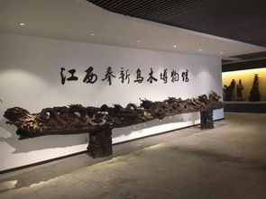 五、 艺术创作展览——当工业生产废墟遇上抽象涂鸦