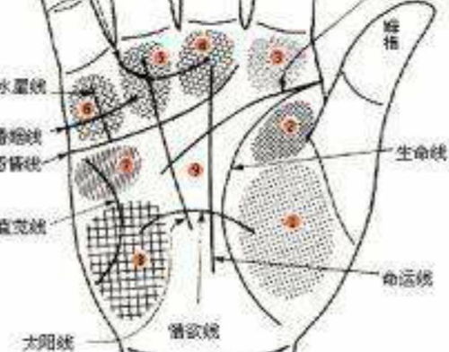 如何绘制兄弟姐妹宫五行指南与五行十二宫曲线示意图？