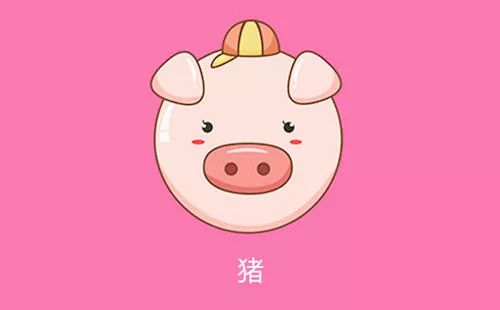 猪猪人的绝配CP：虎虎生威还是鸡飞狗跳？