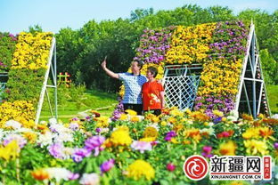 植物园：反季节的花花世界