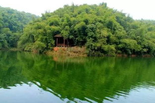 彭山：什么“长寿之乡”， 明明是修仙现场