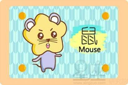 2008年属鼠人2026年农历十月运势和学业如何？