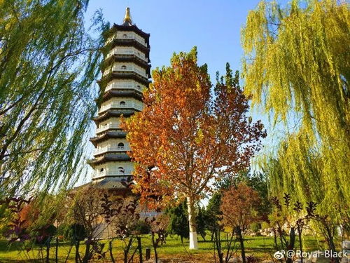 七、 北宁公园：城市中的绿洲