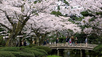 5天深度游：名古屋3天+金泽2天 才是黄金比例