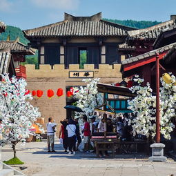 金华到成都旅游攻略——一场说走就走的混乱之旅