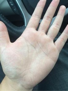 二、手相风水：一套糊弄人的把戏？