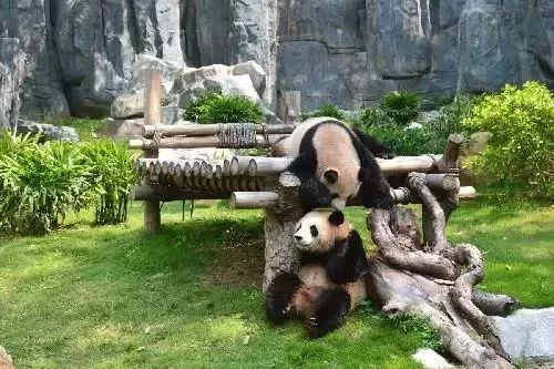 优惠套餐的