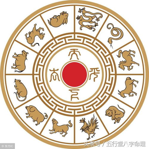 2026年属什么生肖和命理？