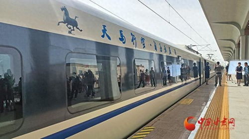 本地人的骚操作：专线？狗都不坐！