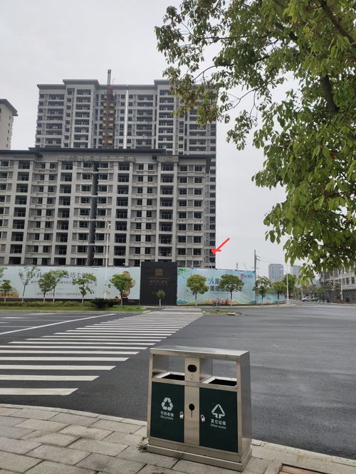 楼前有马路好吗,房子边上是马路