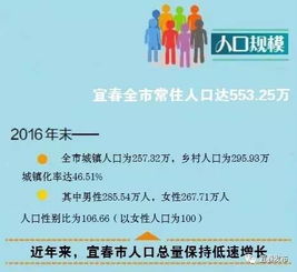 双子座的特点和改进方法