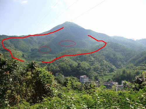 阴宅风水主要kan什么,阴宅风水主要kan什么
