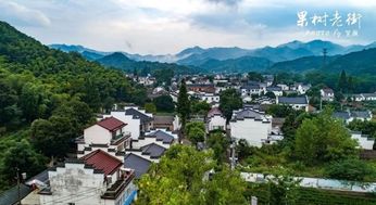 庐江长冲旅游避坑指南：一个被忽悠游客的血泪史
