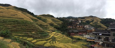 检票员阿姨的故事