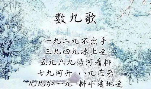 一、冬至来临，谁说名字就不能跟着凛冽的北风一起摇摆？