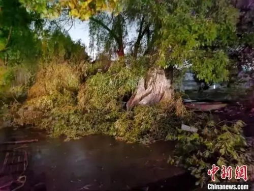 武汉至西安火车站，旅行双轨线路更受欢迎？